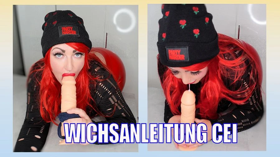WICHSANLEITUNG CEI