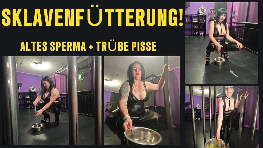 SKLAVEN FUeTTERUNG 2 HERRINEN fuellen Deinen Napf