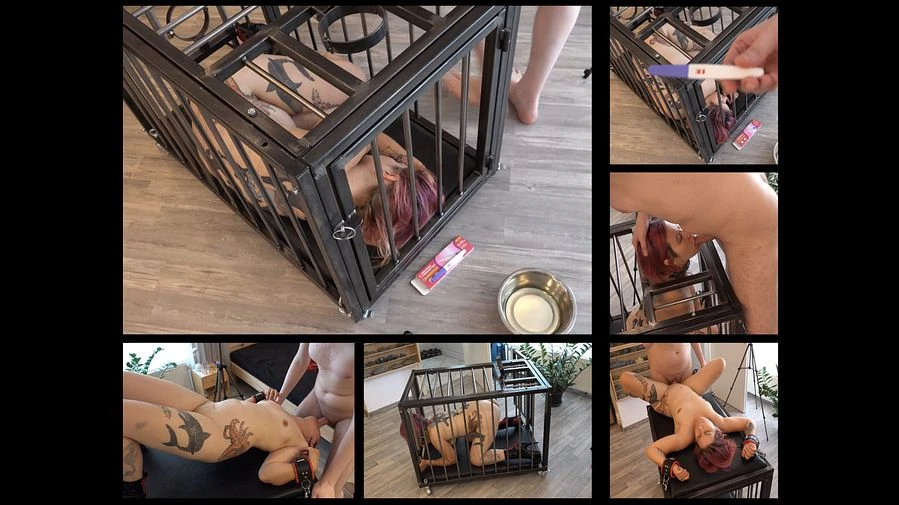 Sklavin im Kaefig gehalten und benutzt zu meinen Vergnuegen