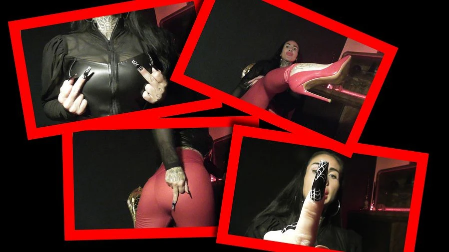 HALLOWEEN du bist das ganze Jahr eine Vogelscheuche