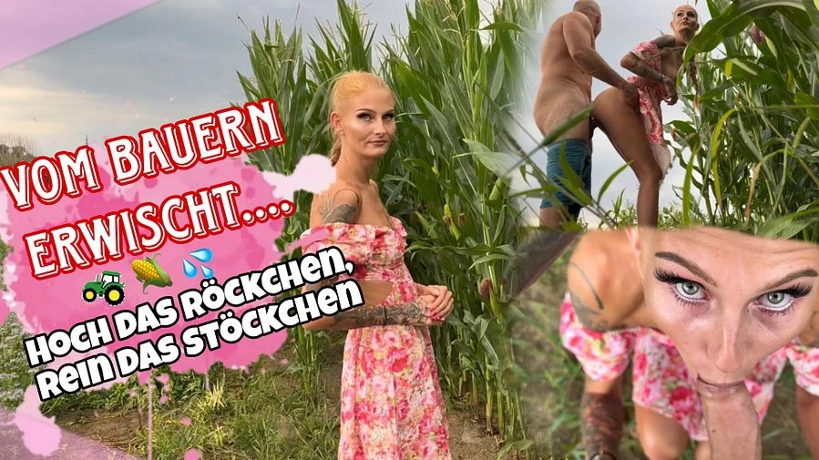 Vom Bauern erwischt Hoch das Roeckchen rein das Stoeckchen