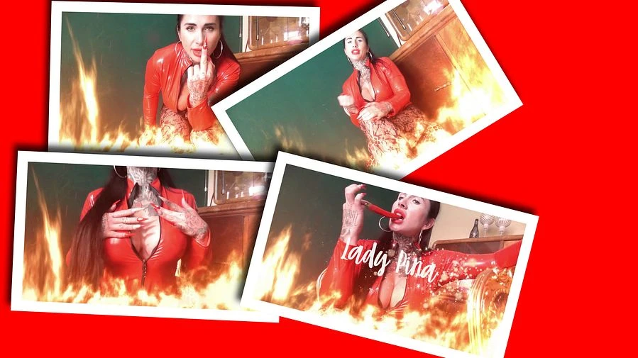 CHILI CON COCK Spuere den Schmerz