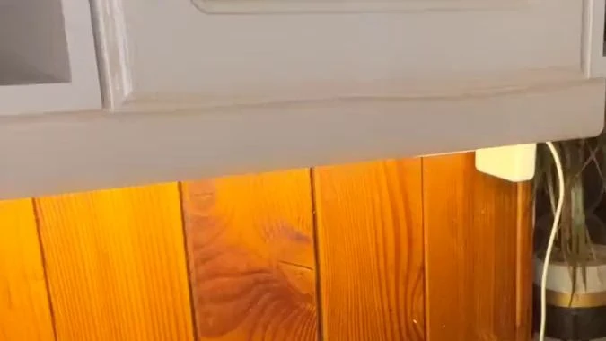 Taetowierte Schlampe fingert sich auf der Kuechenablage mit Dildo