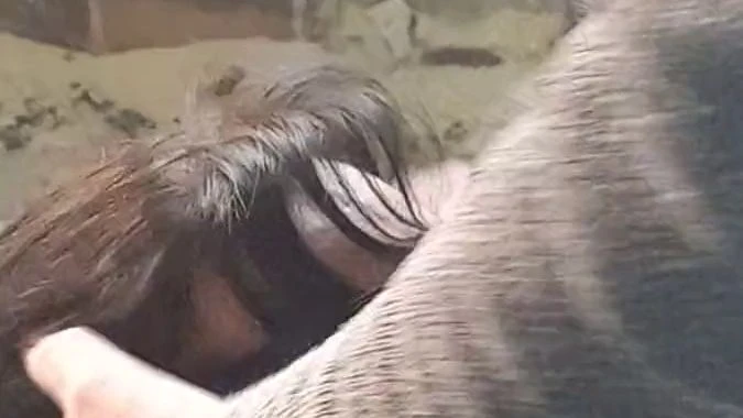 In einem LostPlace hart in den Mund gefickt